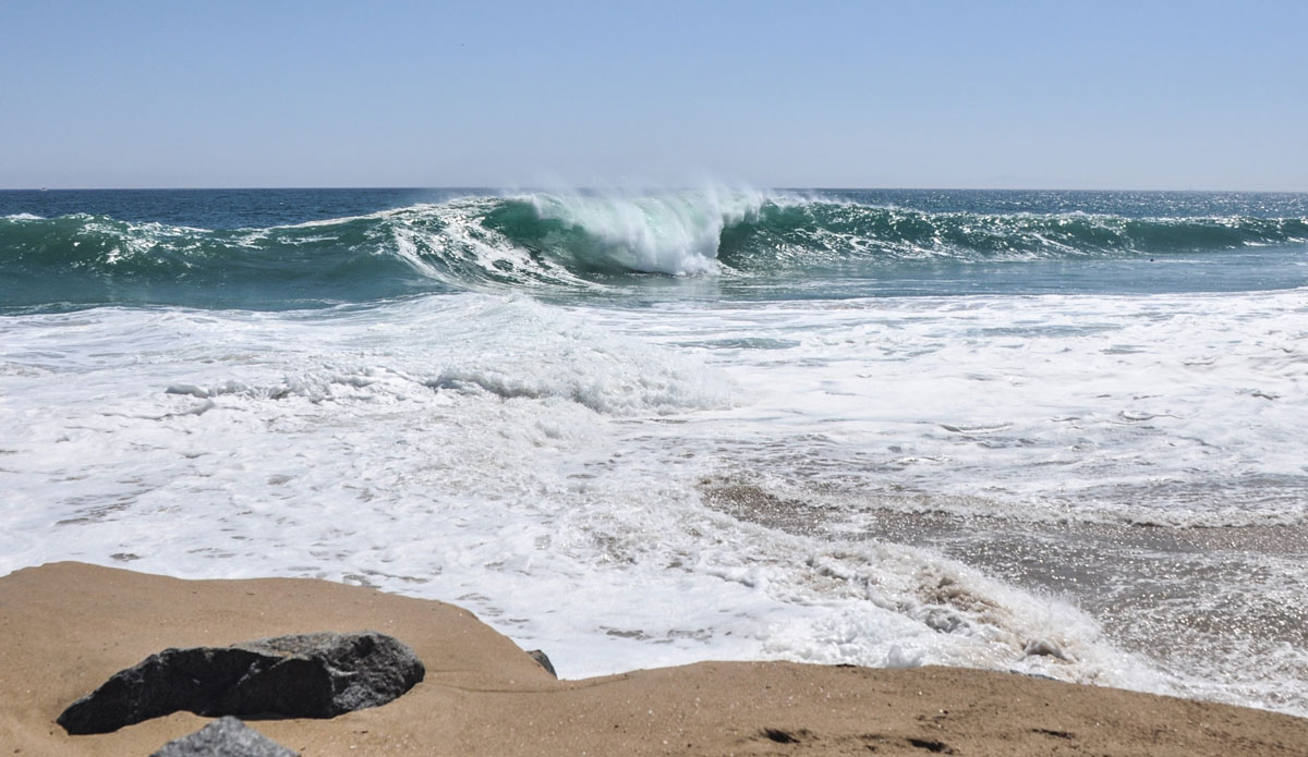 Empty beast. Photo: <a href=\"https://www.tylerbrundage.com/\">Tyler Brundage</a>