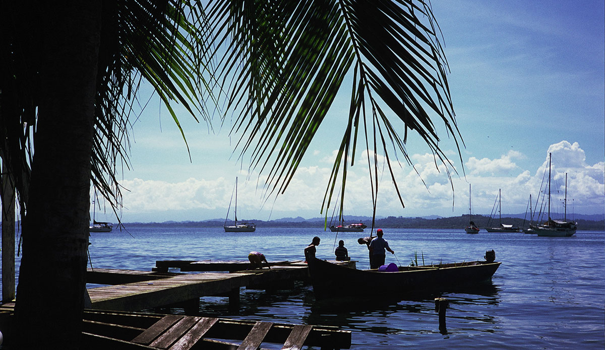 Photo: <a href=\"https://www.stokesalad.com/\">Thomas Forward</a>