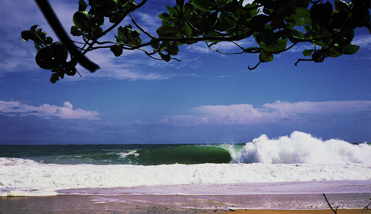 Photo: <a href=\"https://www.stokesalad.com/\">Thomas Forward</a>