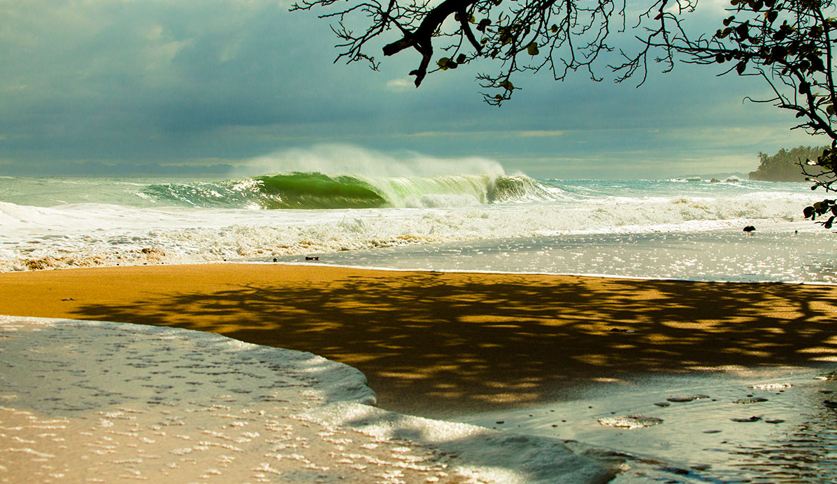 Photo: <a href=\"https://www.stokesalad.com/\">Thomas Forward</a>