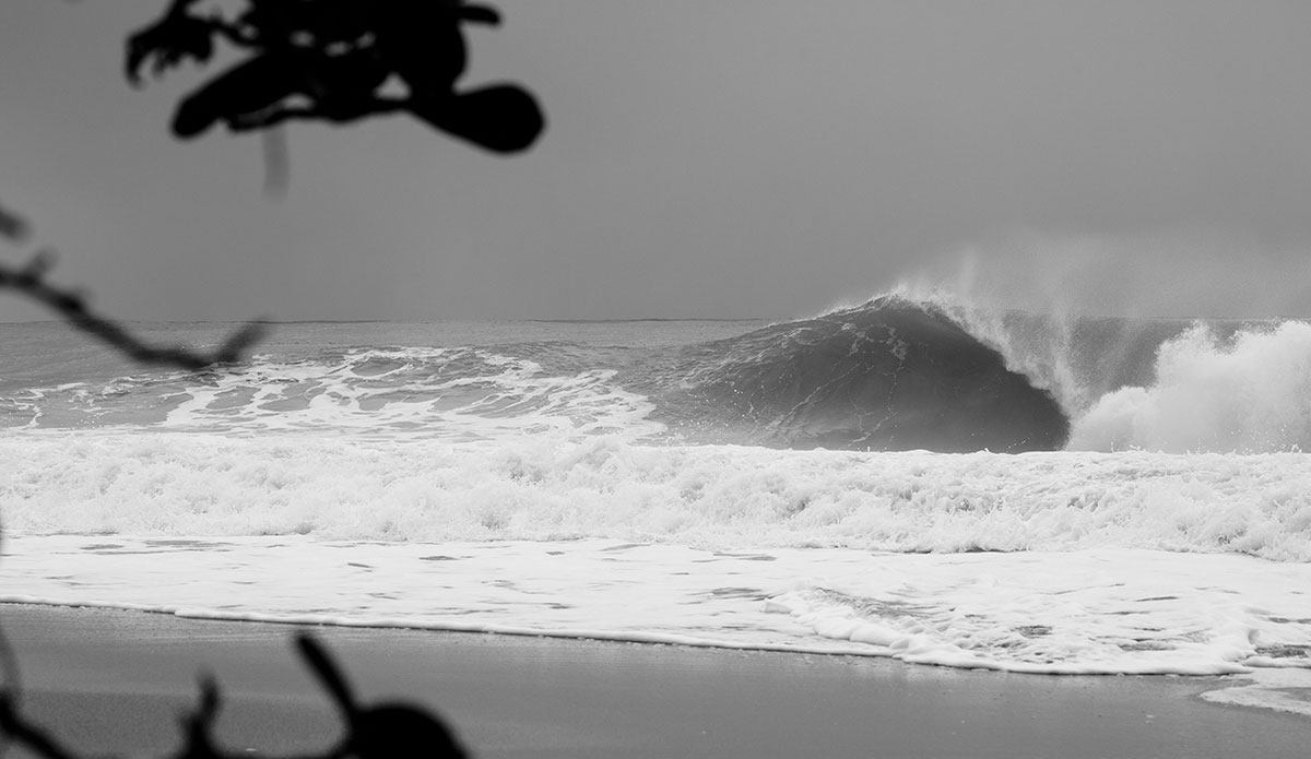 Photo: <a href=\"https://www.stokesalad.com/\">Thomas Forward</a>