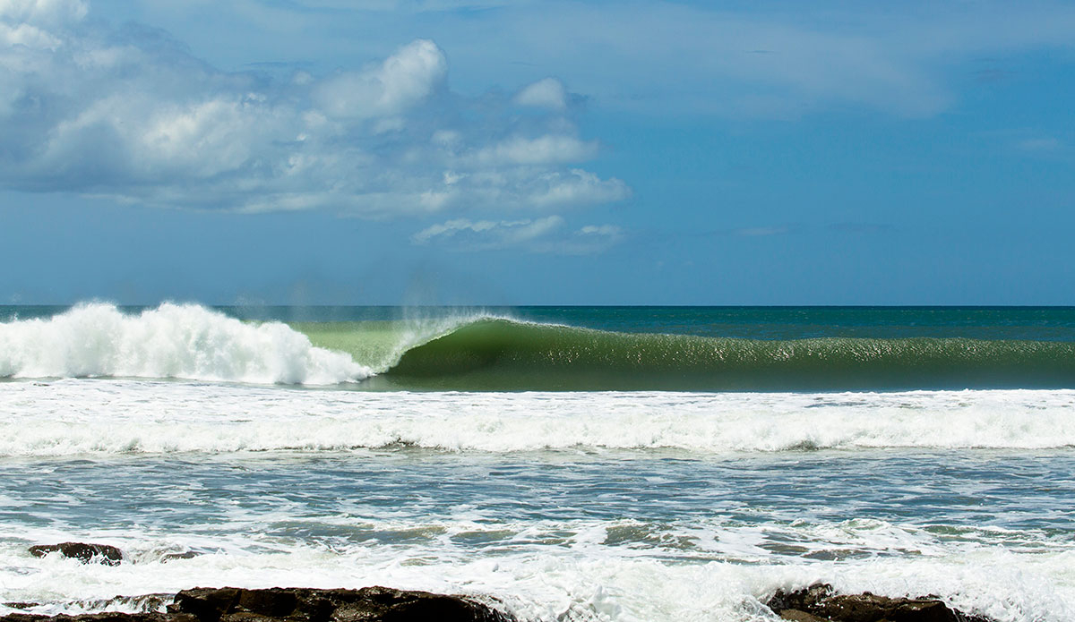 Photo: <a href=\"https://www.stokesalad.com/\">Thomas Forward</a>