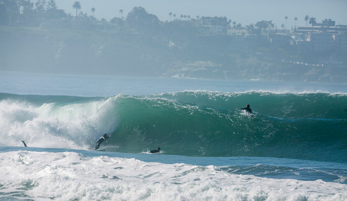 Photo: Steve Thrailkill