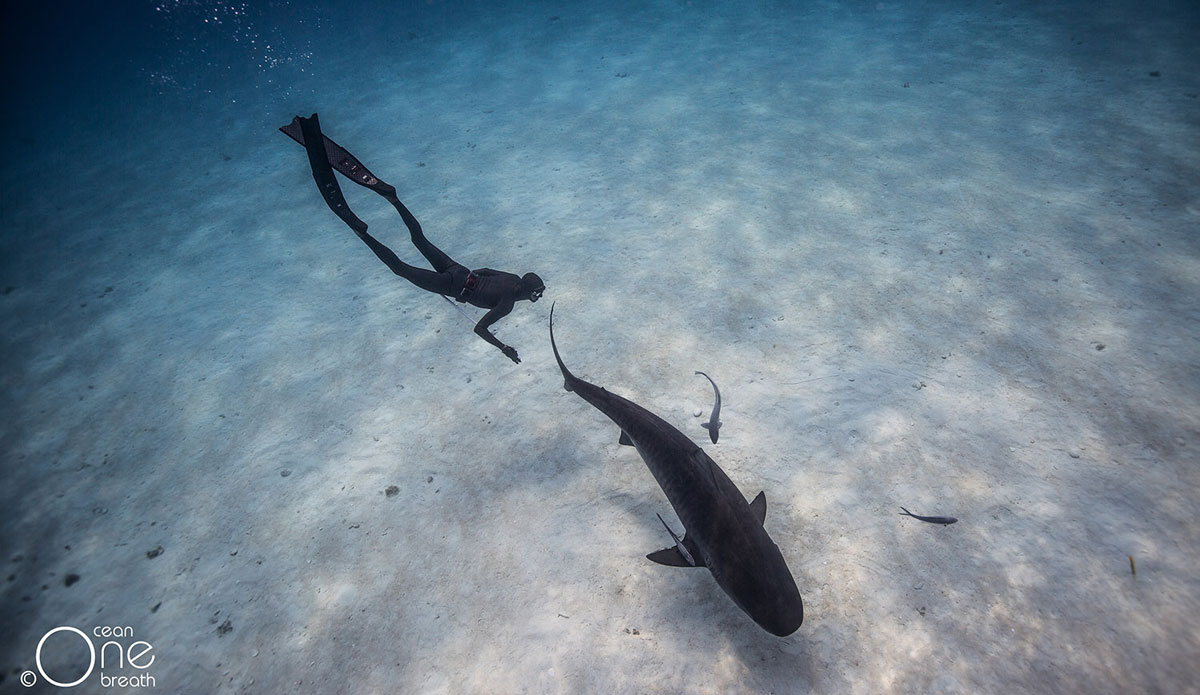 Photo:<a href=\"https://www.oneoceanonebreath.com/\">Oneoceanonebreath.com.</a>