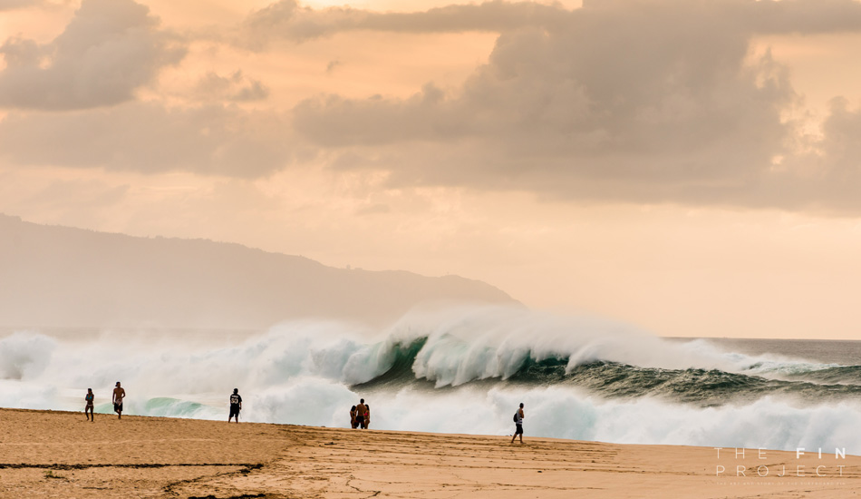 Photo: <a href=\"https://www.thefinproject.net/\">Tim Hogan</a>