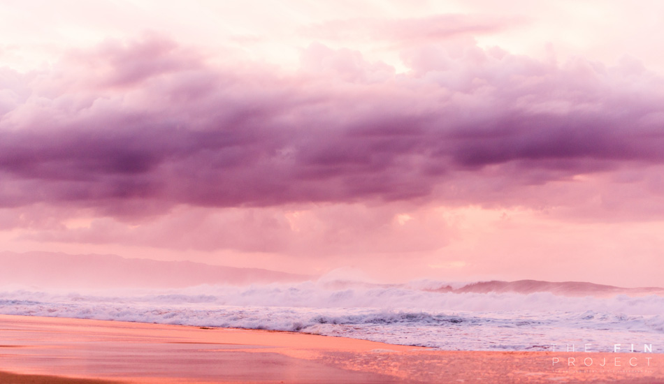 Photo: <a href=\"https://www.thefinproject.net/\">Tim Hogan</a>