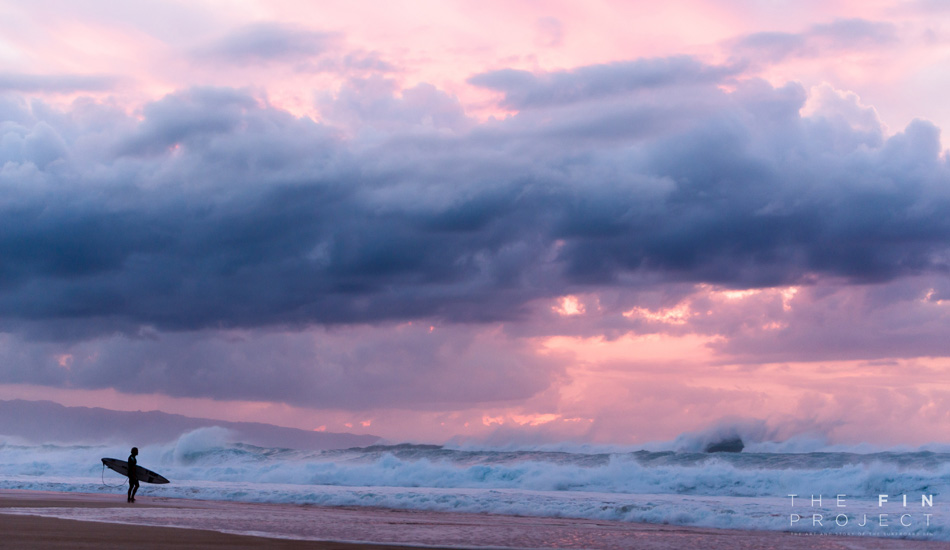 Photo: <a href=\"https://www.thefinproject.net/\">Tim Hogan</a>