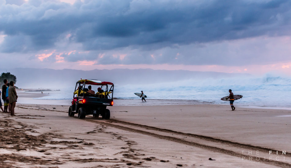 Photo: <a href=\"https://www.thefinproject.net/\">Tim Hogan</a>