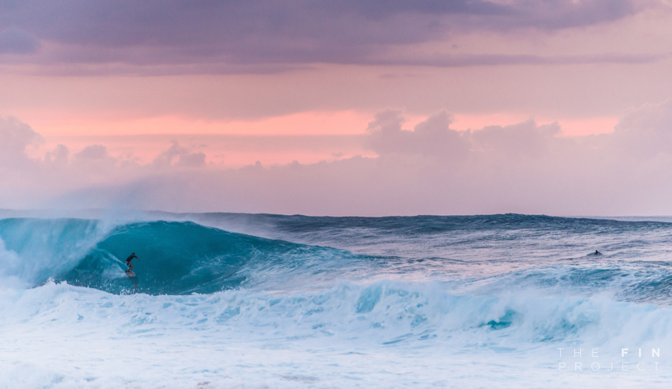 Photo: <a href=\"https://www.thefinproject.net/\">Tim Hogan</a>