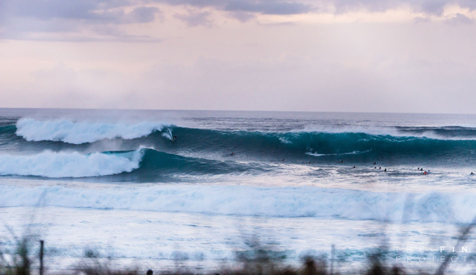 Photo: <a href=\"https://www.thefinproject.net/\">Tim Hogan</a>