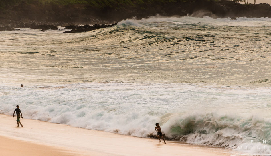 Photo: <a href=\"https://www.thefinproject.net/\">Tim Hogan</a>