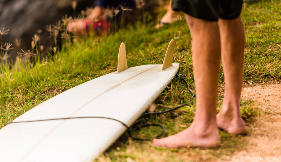 Photo: <a href=\"https://www.thefinproject.net/\">Tim Hogan</a>