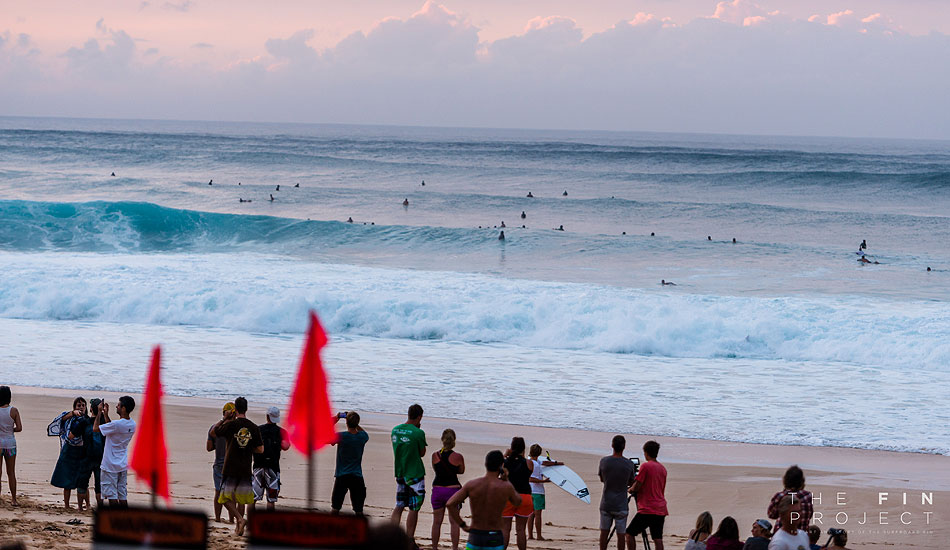 Photo: <a href=\"https://www.thefinproject.net/\">Tim Hogan</a>