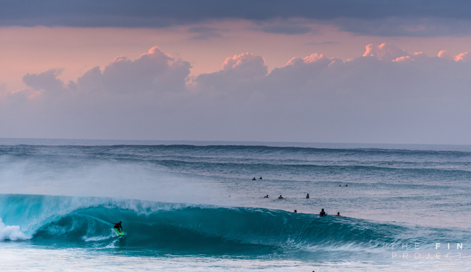 Photo: <a href=\"https://www.thefinproject.net/\">Tim Hogan</a>