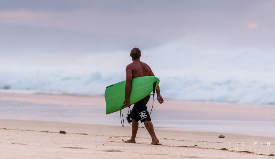 Photo: <a href=\"https://www.thefinproject.net/\">Tim Hogan</a>