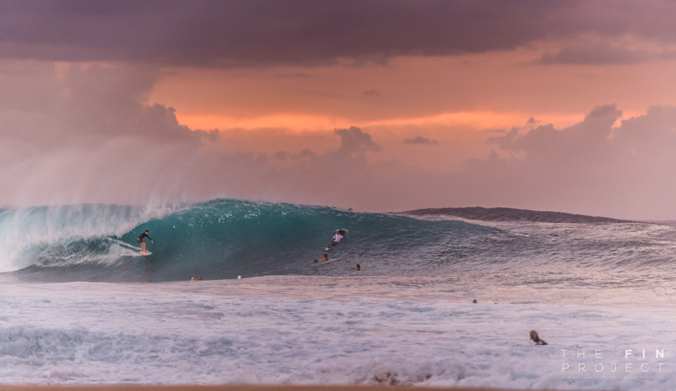 Photo: <a href=\"https://www.thefinproject.net/\">Tim Hogan</a>