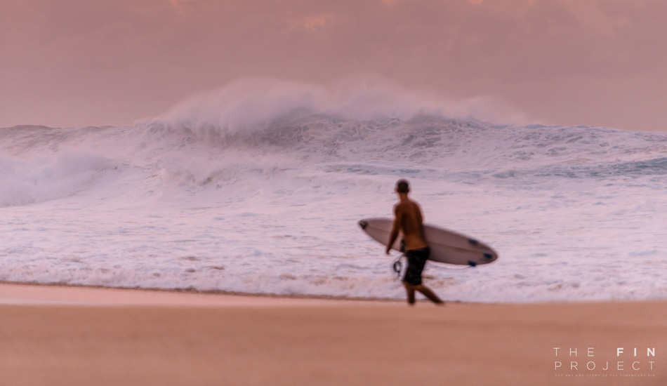 Photo: <a href=\"https://www.thefinproject.net/\">Tim Hogan</a>