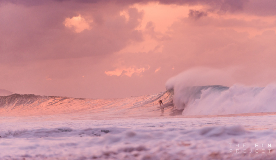 Photo: <a href=\"https://www.thefinproject.net/\">Tim Hogan</a>