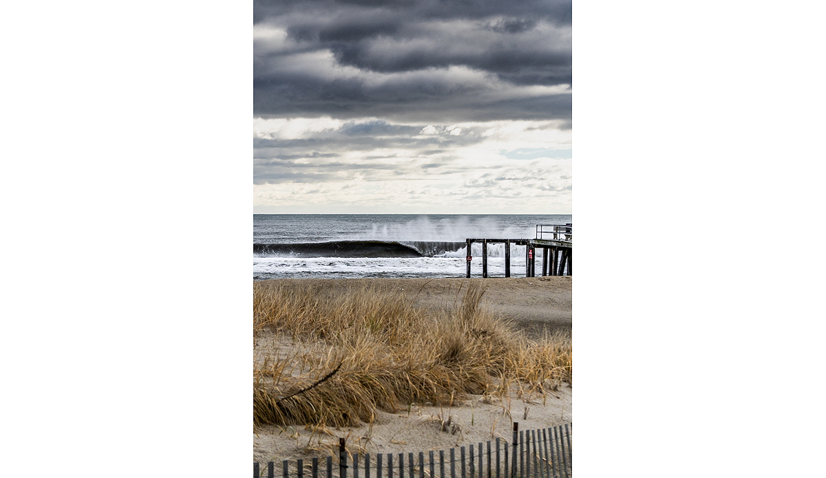 Photo: @timlangphotos