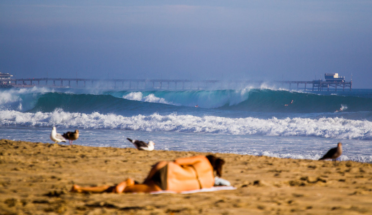 West Newport doing it’s best Desert Point impression. Photo: <a href=\"https://www.timmendez.com/\">Tim Mendez</a>