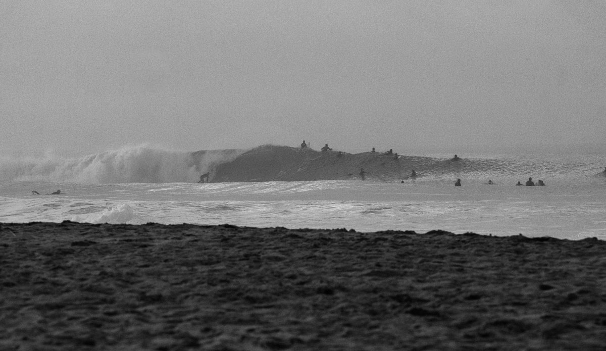 Another foggy morning gem. Photo: <a href=\"https://www.timmendez.com/\">Tim Mendez</a>