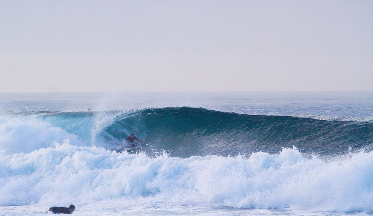 This guy dealt with the cramped elbow room quite nicely. Photo: <a href=\"https://www.timmendez.com/\">Tim Mendez</a>