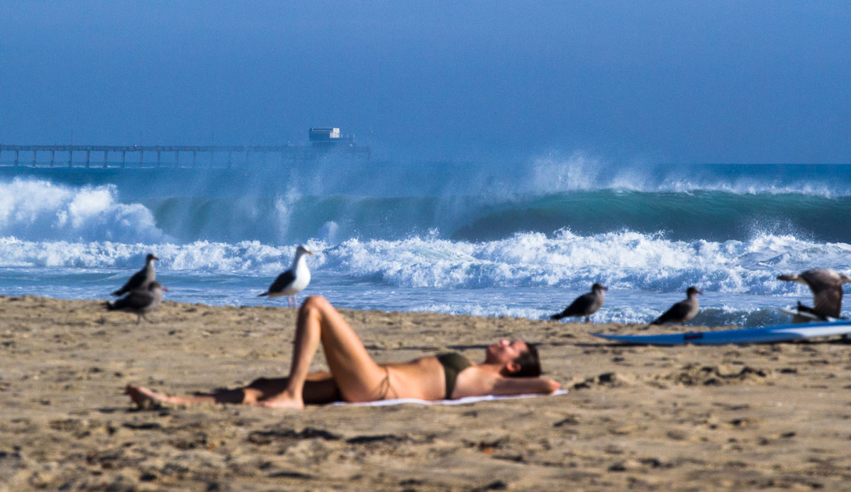How does nobody else (seagulls included) care about that wave?! Photo: <a href=\"https://www.timmendez.com/\">Tim Mendez</a>