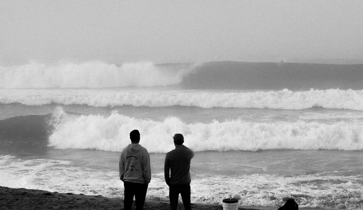 Really wish there was a sense of scale here because...damn. Photo: <a href=\"https://www.timmendez.com/\">Tim Mendez</a>