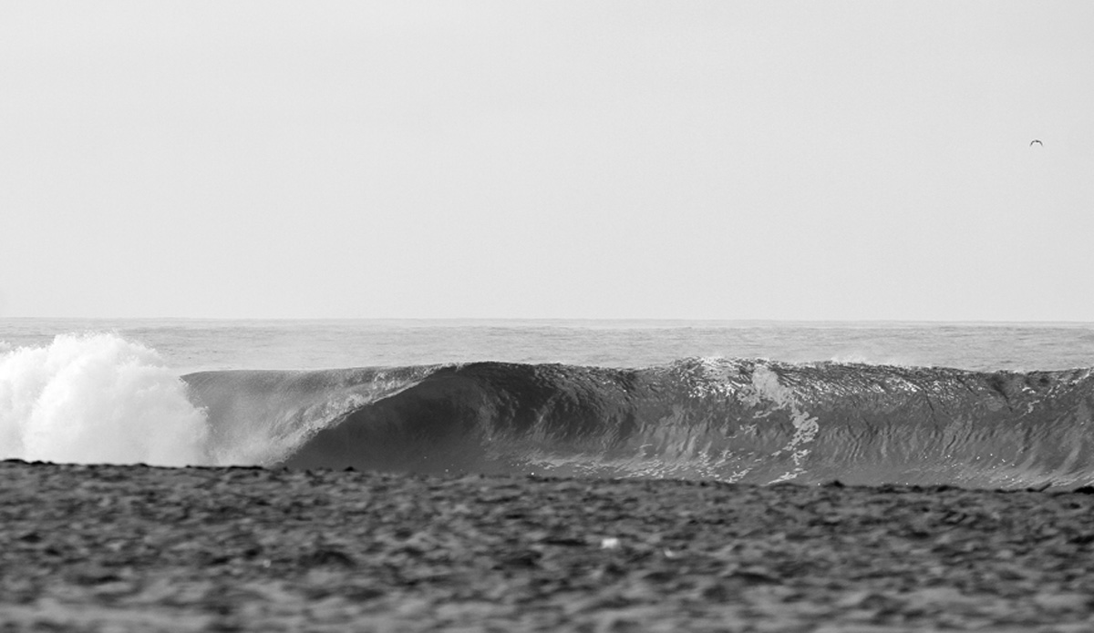 July 18, 2014. West Newport. Photo: <a href=\"https://www.timmendez.com/\">Tim Mendez</a>