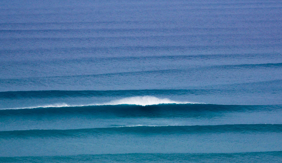 Photo: <a href=\"https://instagram.com/timothyschiller\">Timothy Schiller</a>