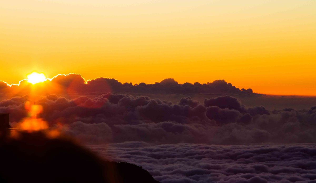 Photo: <a href=\"https://instagram.com/timothyschiller\">Timothy Schiller</a>