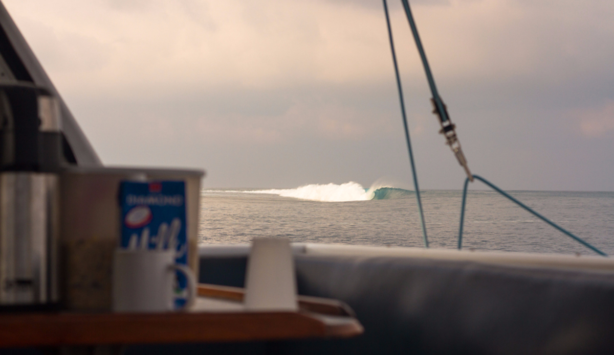 Breakfast. Photo: <a href=\"https://instagram.com/haydenoneill/\">Hayden O\'Neill</a>