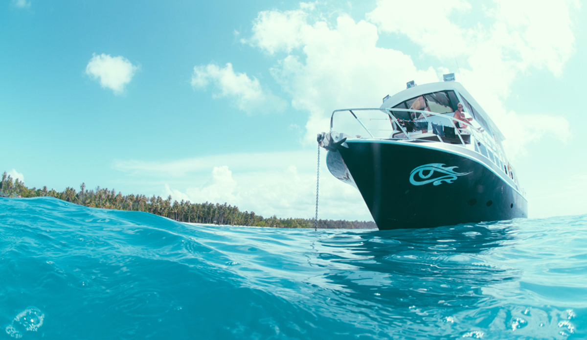 Mighty Pelagic. Photo: <a href=\"https://instagram.com/haydenoneill/\">Hayden O\'Neill</a>