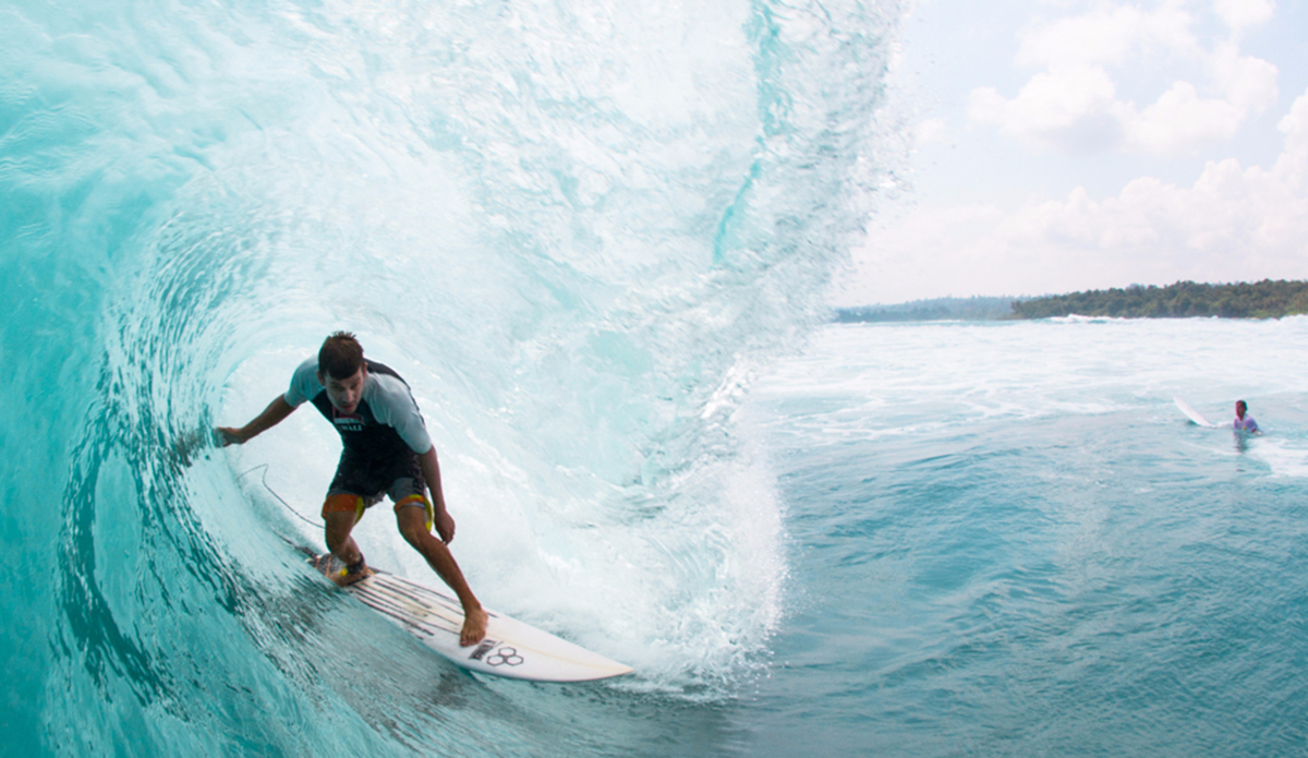 Skipper. Photo: <a href=\"https://instagram.com/haydenoneill/\">Hayden O\'Neill</a>