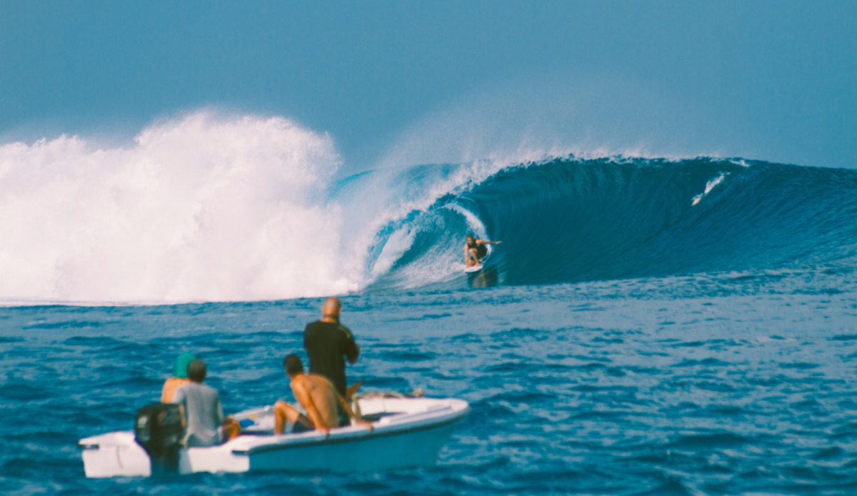 Wombat. Photo: <a href=\"https://instagram.com/haydenoneill/\">Hayden O\'Neill</a>