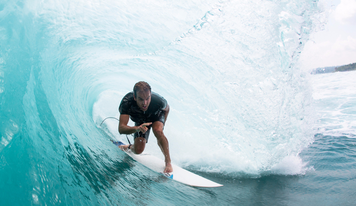 Wombat, up close. Photo: <a href=\"https://instagram.com/haydenoneill/\">Hayden O\'Neill</a>