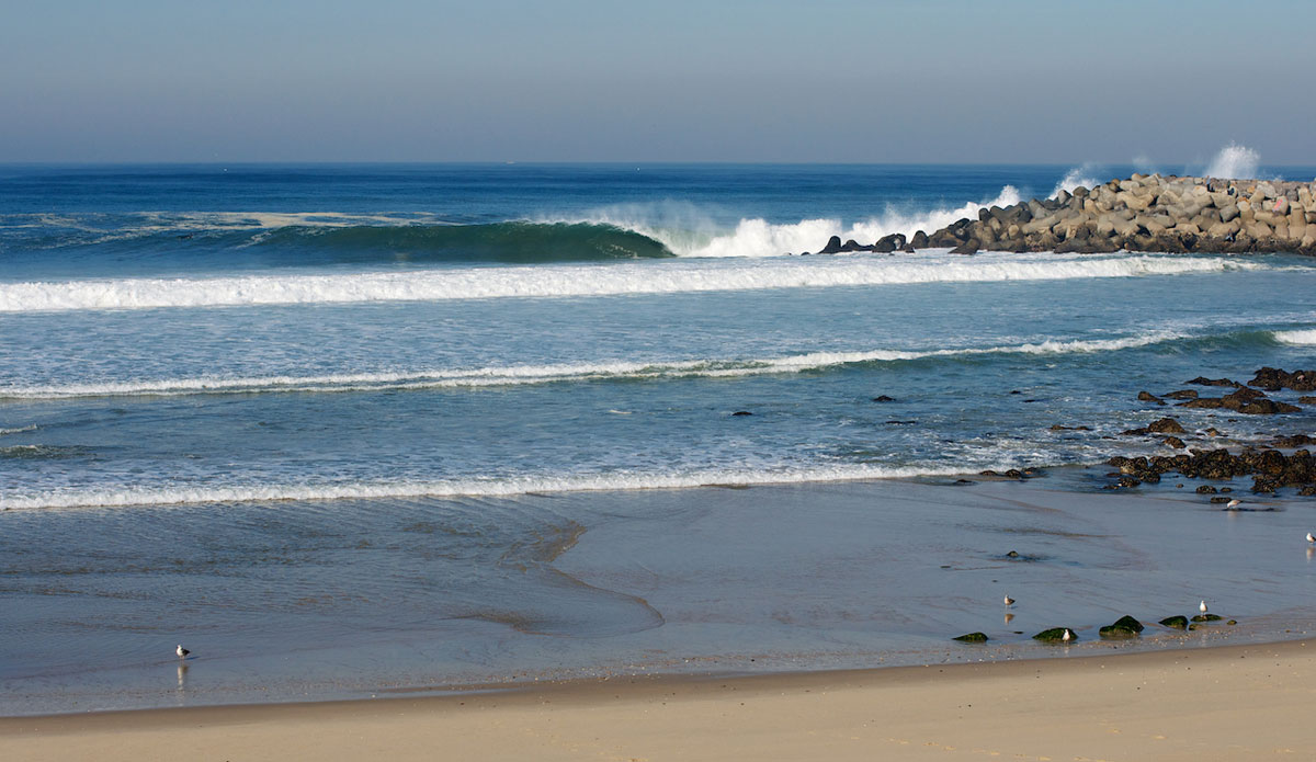 Photo: <a href=\"https://www.tomanephotos.com/\">Tomanephotos.com</a>