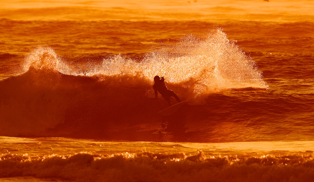 Photo: <a href=\"https://www.tomanephotos.com/\">Tomanephotos.com</a>