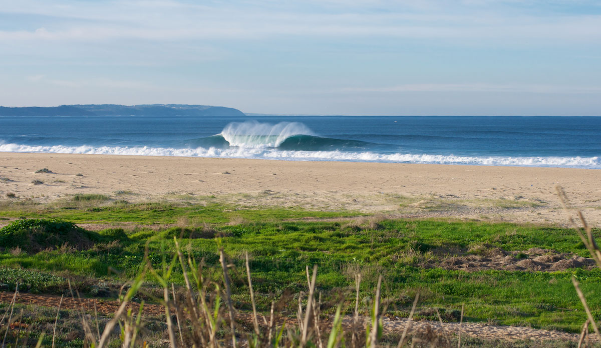 Photo: <a href=\"https://www.tomanephotos.com/\">Tomanephotos.com</a>