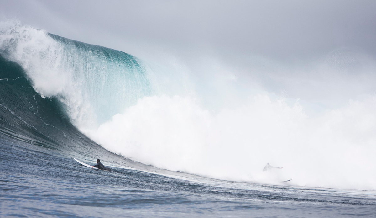 Photo: Captain Alfonso Lopez—Oceanforce Foundation