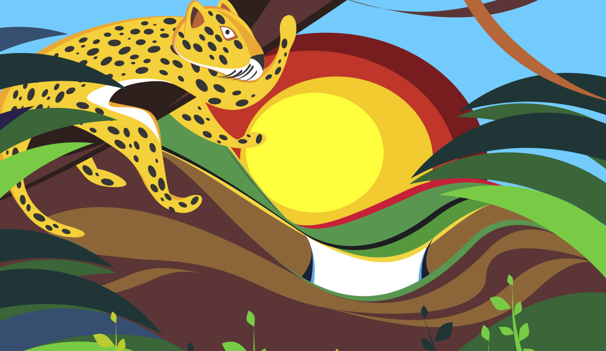 Pororoca. Photo: <a href=\"https://www.seriewaves.com/\">Tom Veiga</a>