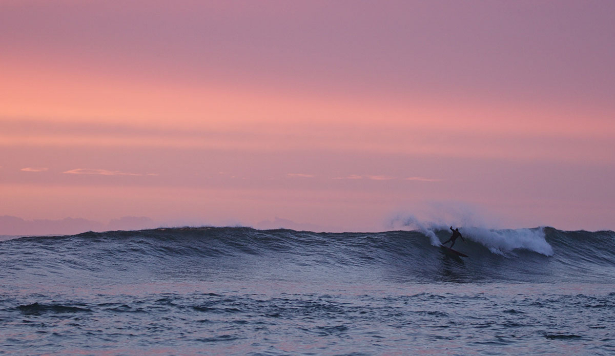 Photo: Need Essentials