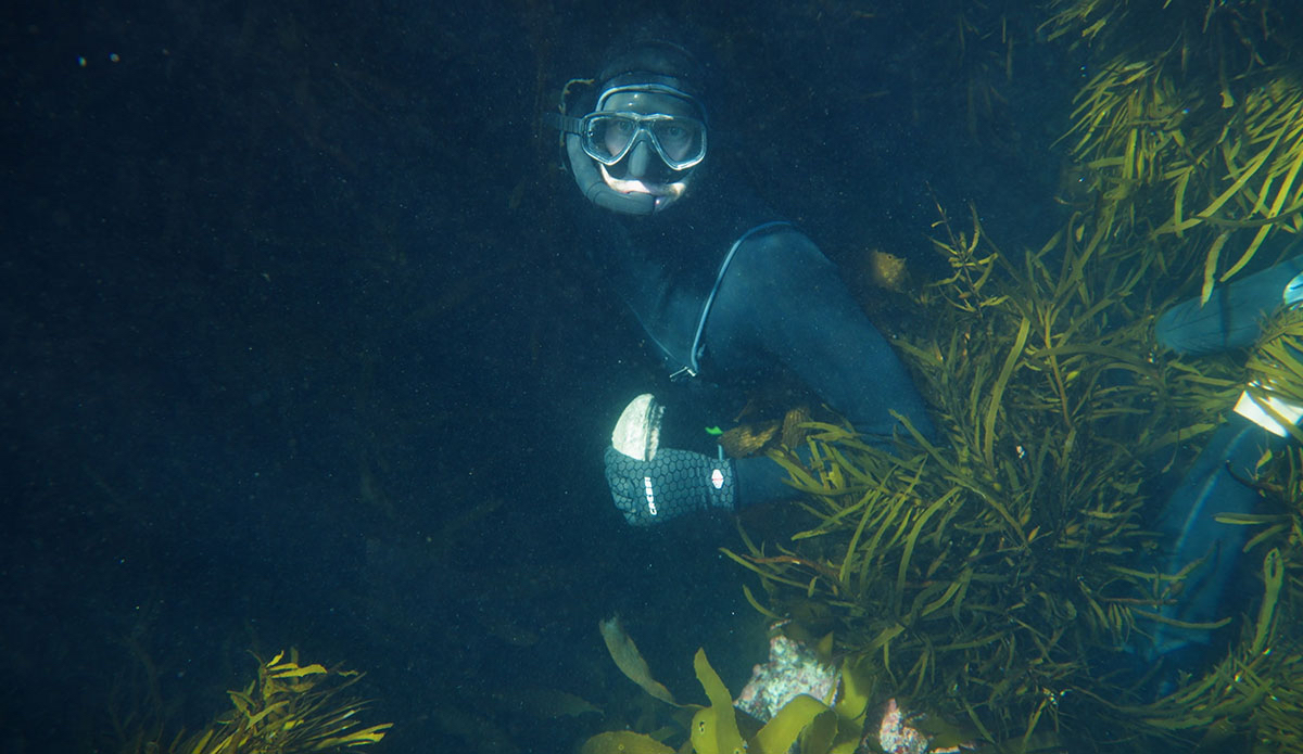 Photo: Need Essentials