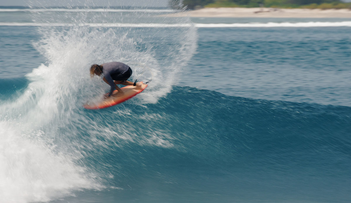 Photo: <a href=\"https://needessentials.com\">Need Essentials</a>