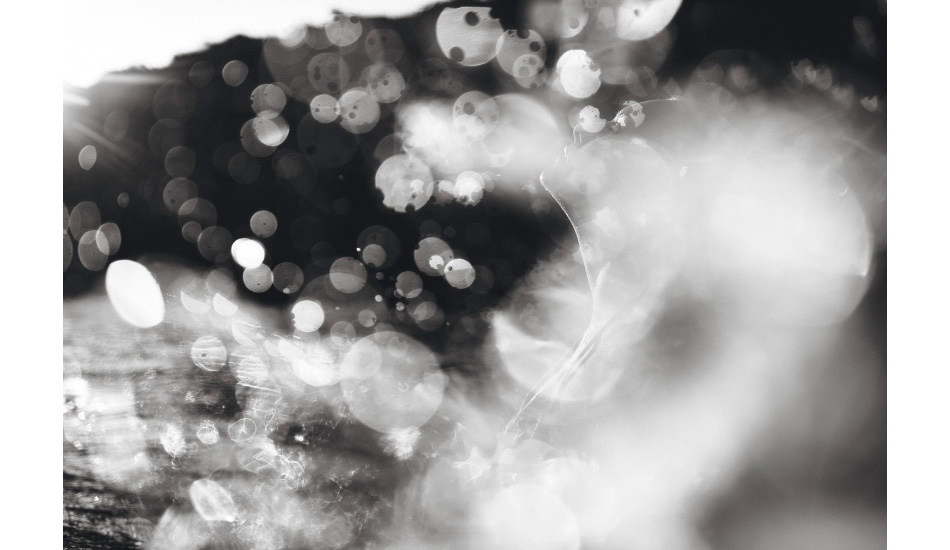 Photo: <a href=\"https://tmphoto.com.au/product/abovebelow/\">Trent Mitchell</a>