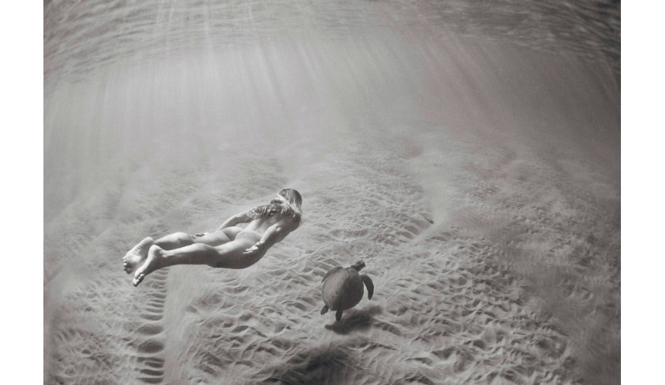 Photo: <a href=\"https://tmphoto.com.au/product/abovebelow/\">Trent Mitchell</a>