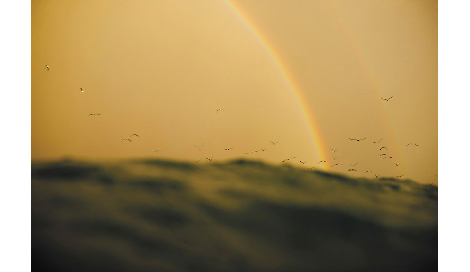 Photo: <a href=\"https://tmphoto.com.au/product/abovebelow/\">Trent Mitchell</a>