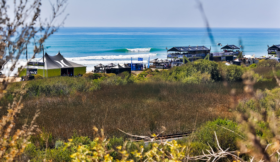 Photo: Trevor Murphy