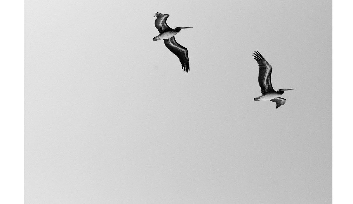 Photo: <a href=\"https://www.trevorbrenden.com/\">Trevor Brenden</a>