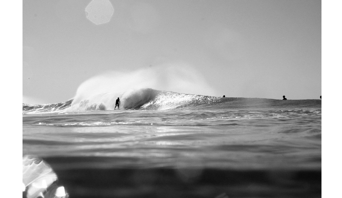 Photo: <a href=\"https://www.trevorbrenden.com/\">Trevor Brenden</a>